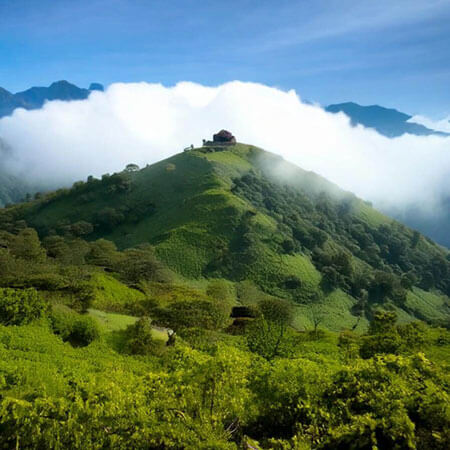 Breathe Pristine Air